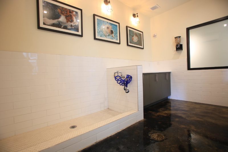 Helios - Dog Grooming Spa